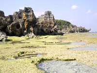 宇古利島の北