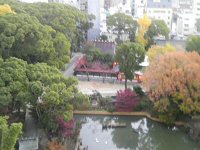 生田神社見える